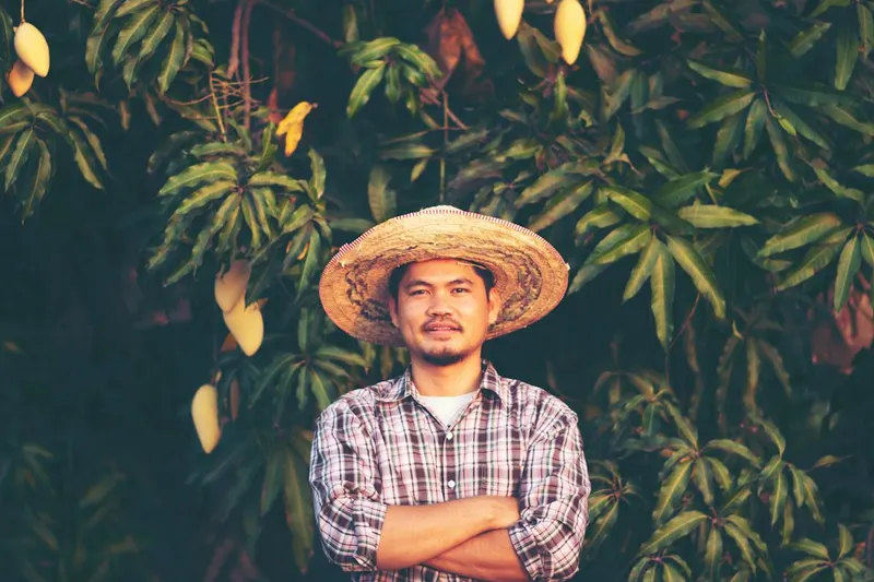 Filtre à charbon actif en coupe